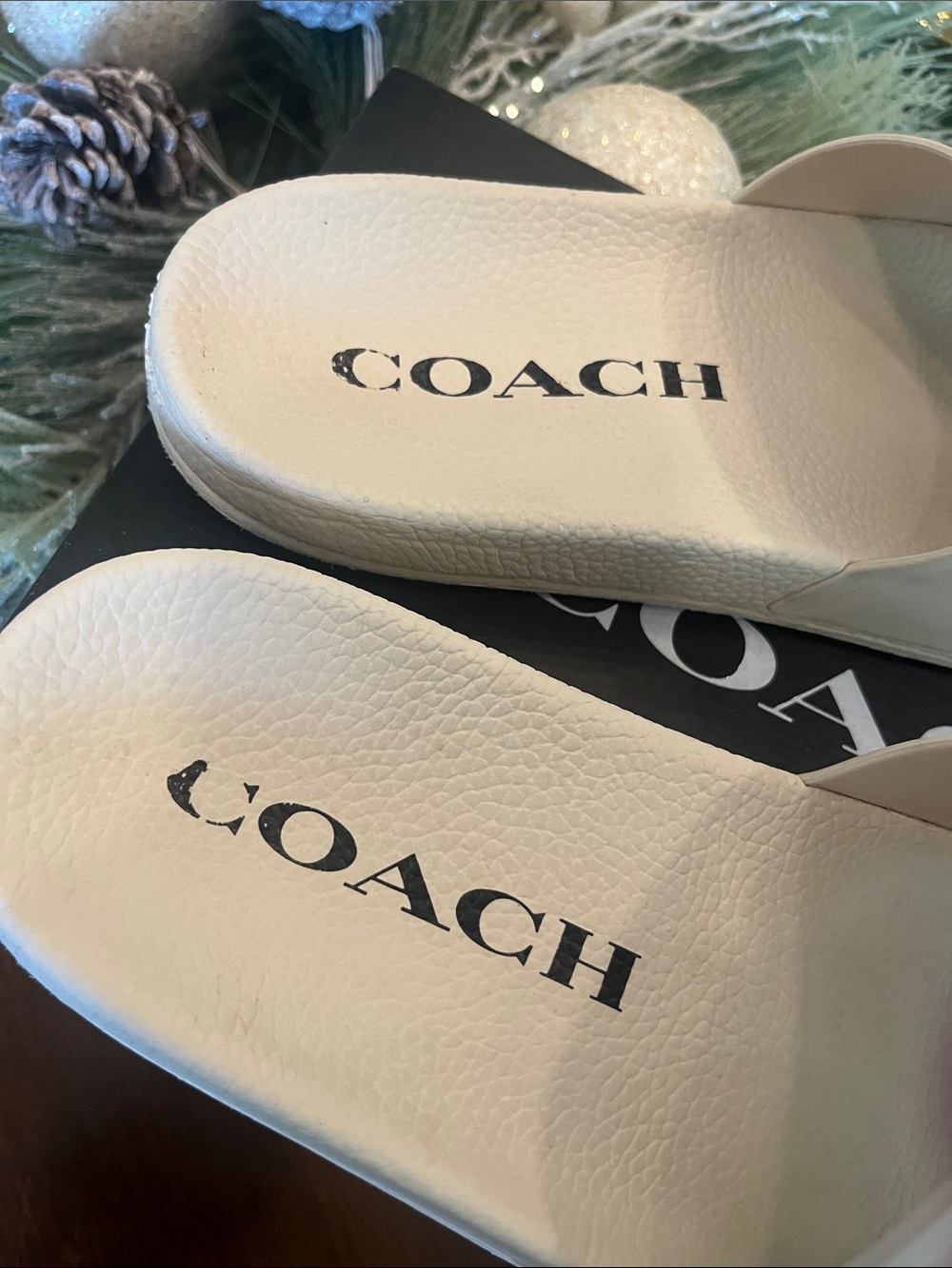 Coach Pillowy Ulla Slide Sandals EUC 9 - Picture 2 of 8